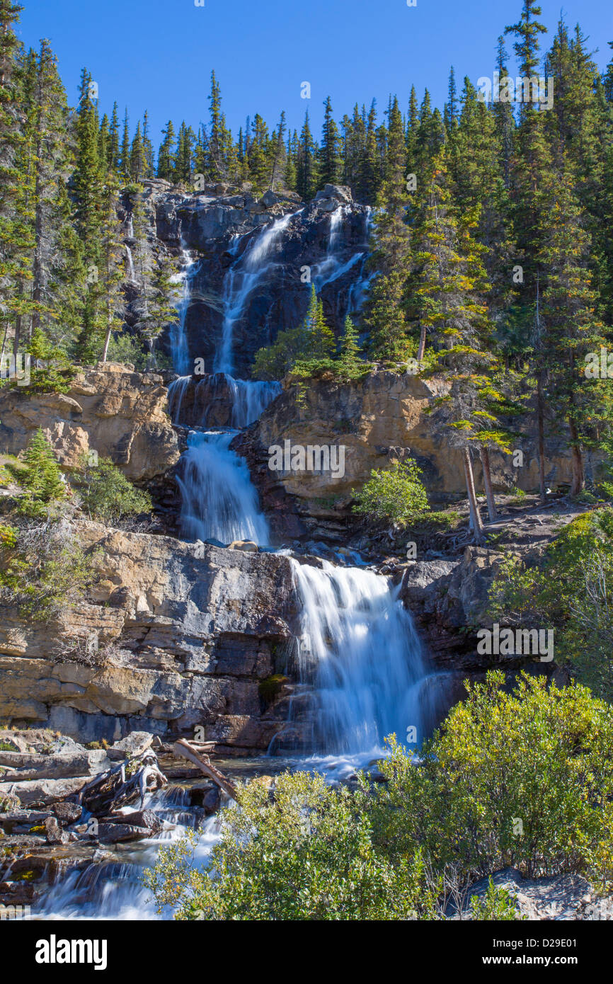 Groviglio Creek cascate del Parco Nazionale di Jasper in Alberta Canada Foto Stock