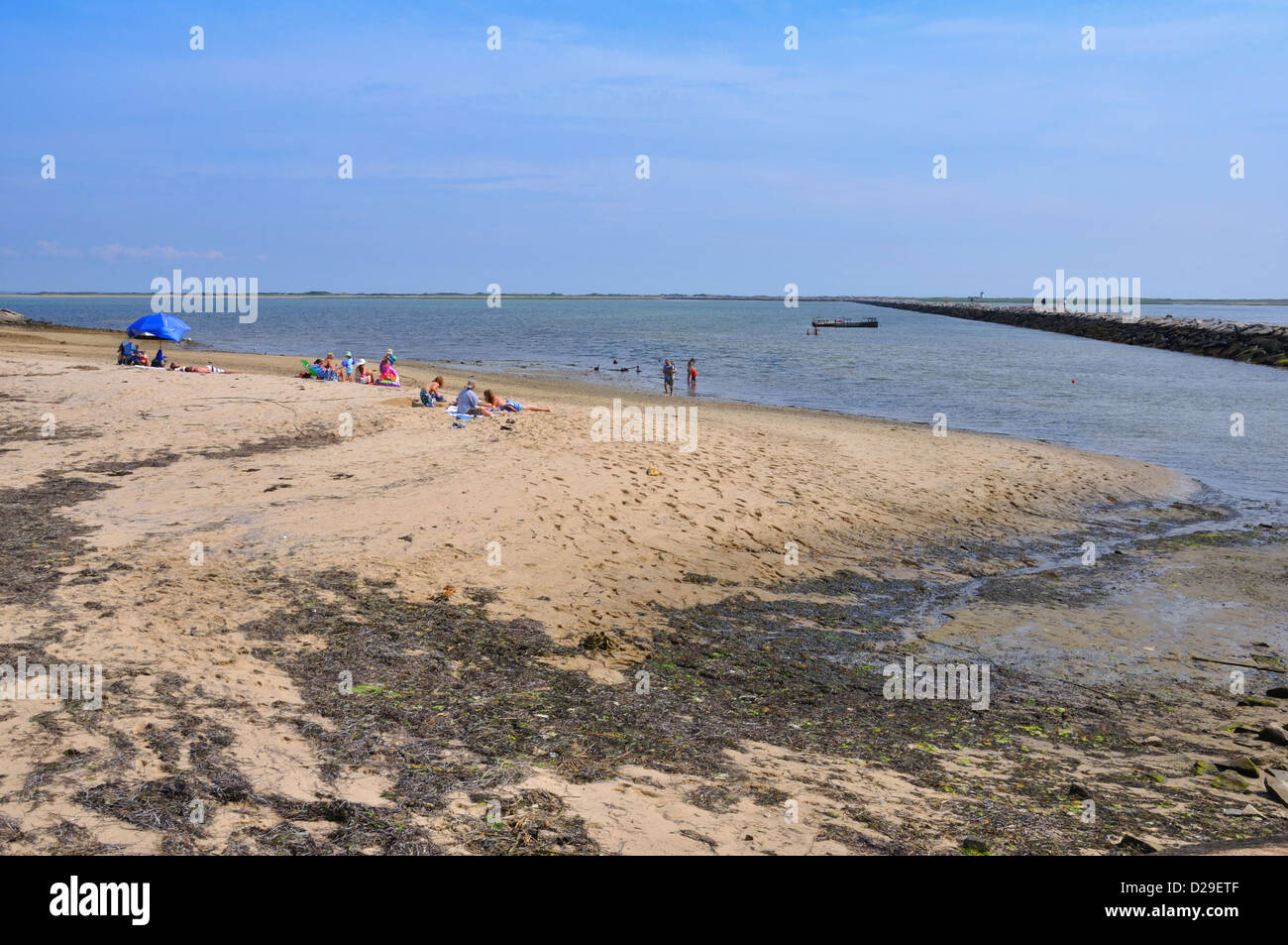 Cape Cod beach, Massachusetts, STATI UNITI D'AMERICA Foto Stock