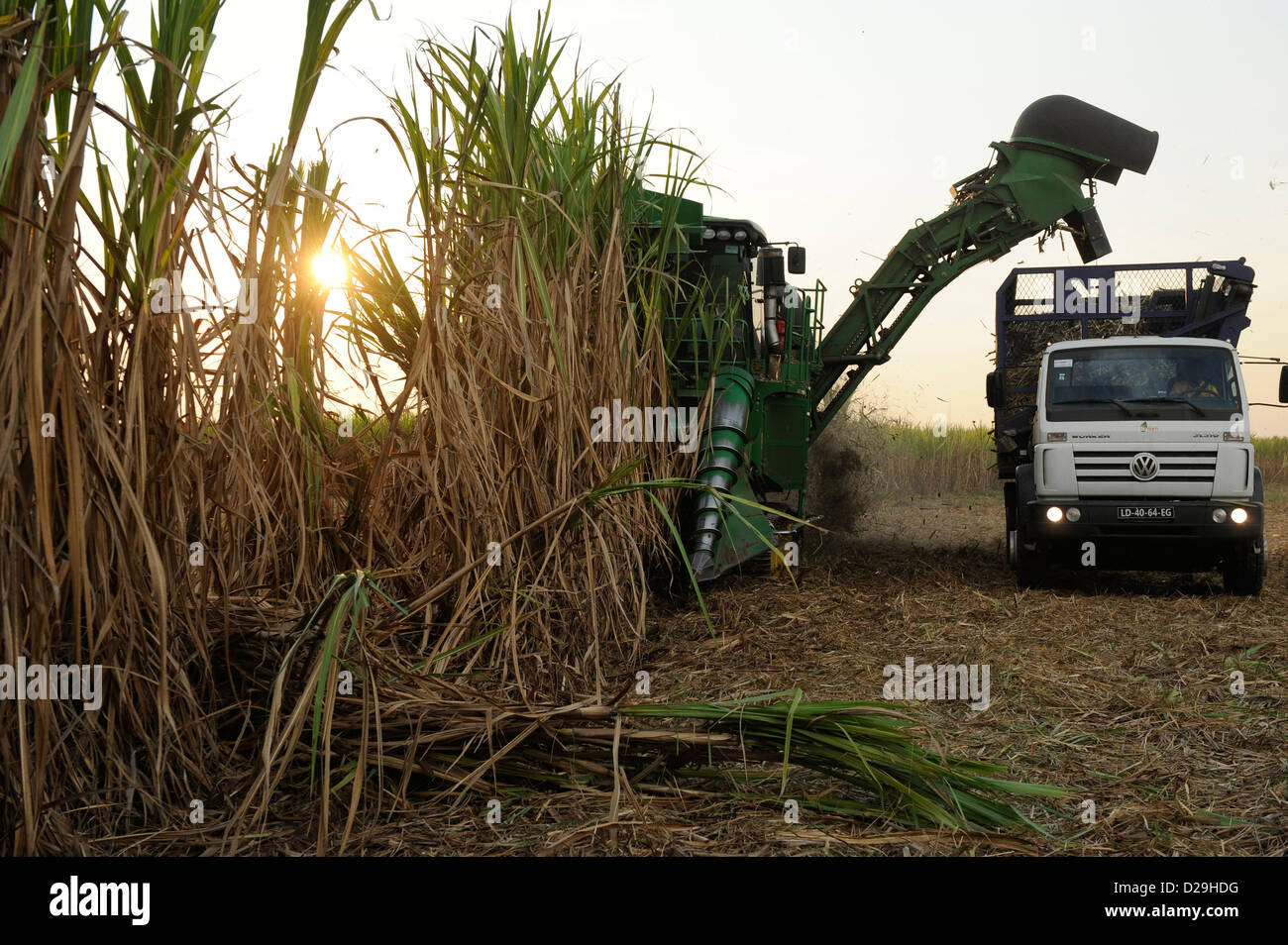 web polo agroindustriale