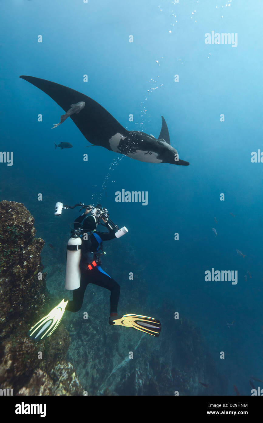 Subacqueo di scattare una foto da sotto giganteschi oceanic manta ray in Archipielgo de Revillagigedo, Messico Rocio del Mar, Socorro Islands Foto Stock