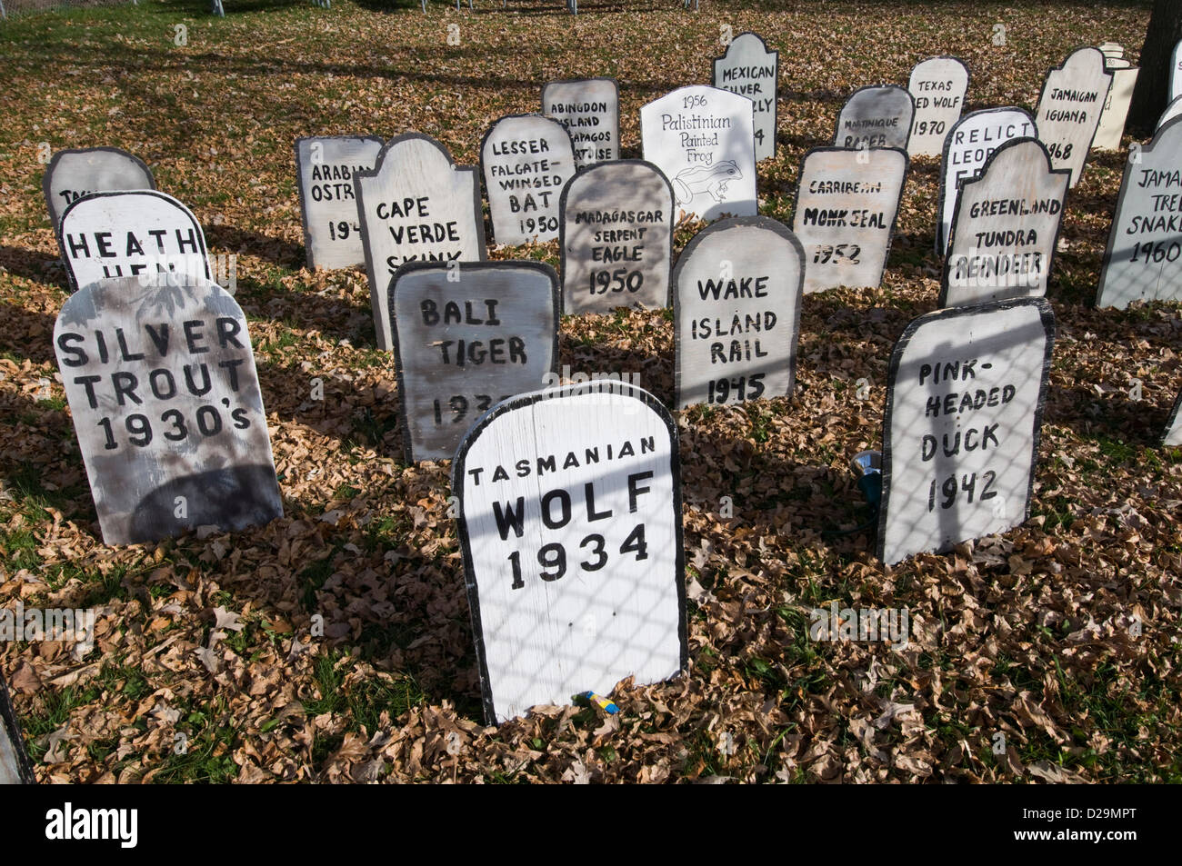 Estinzione animali immagini e fotografie stock ad alta risoluzione Alamy
