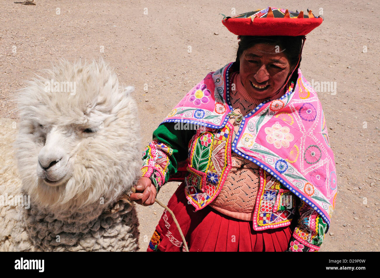 Donna Peruviana con Gli Alpaca Foto Stock