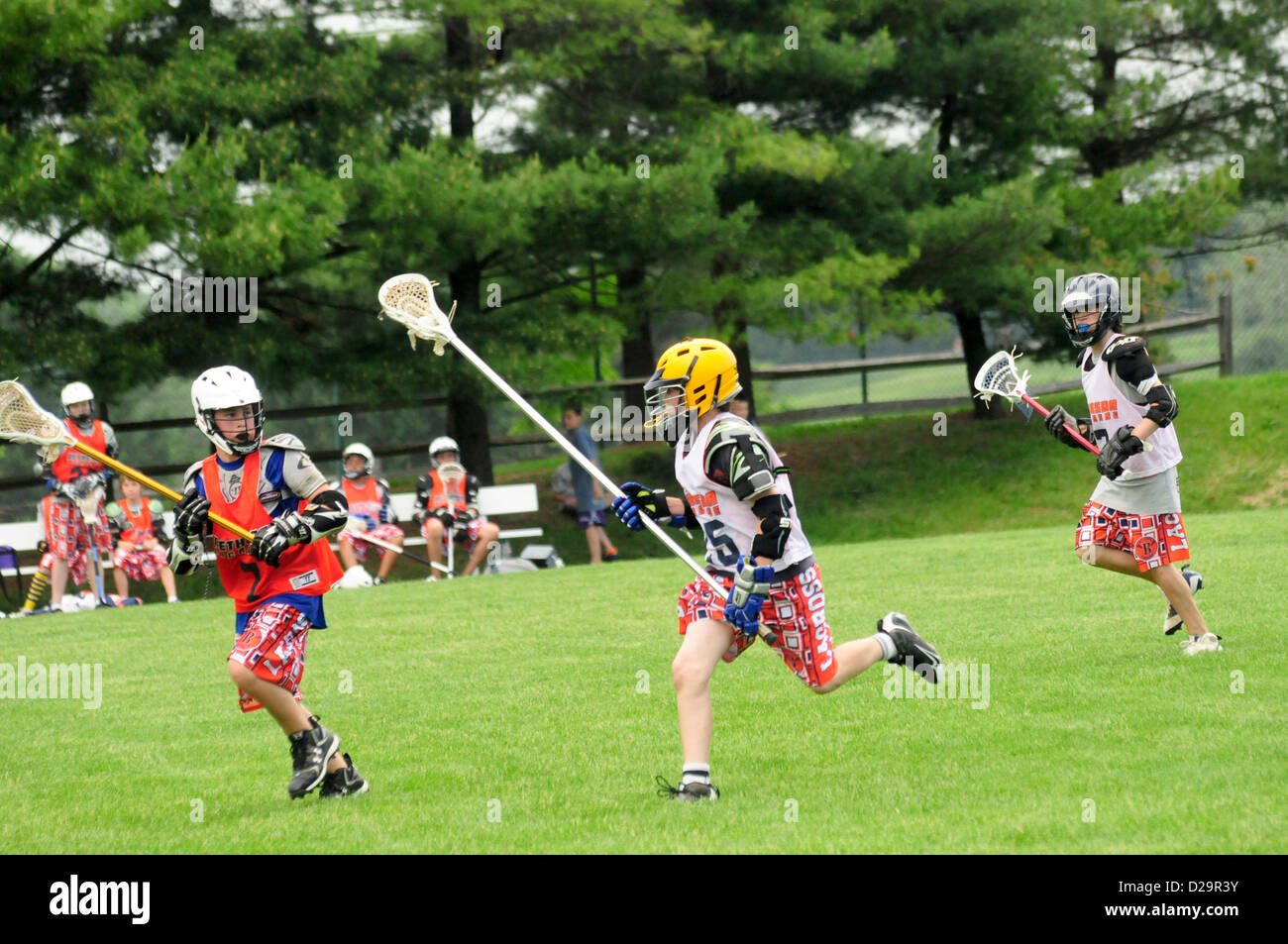 Lacrosse gioco - Maryland Foto Stock