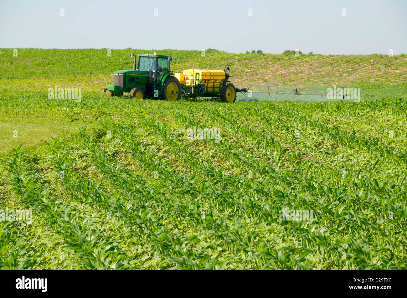 Il mais, applicatore di fertilizzante, trattore, Wisconsin Foto Stock