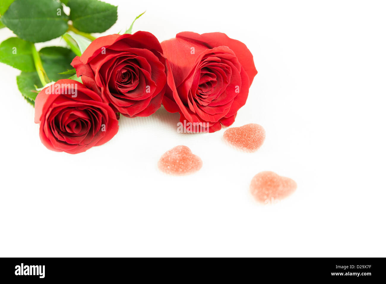Tre rose rosse su uno sfondo bianco. Foto Stock