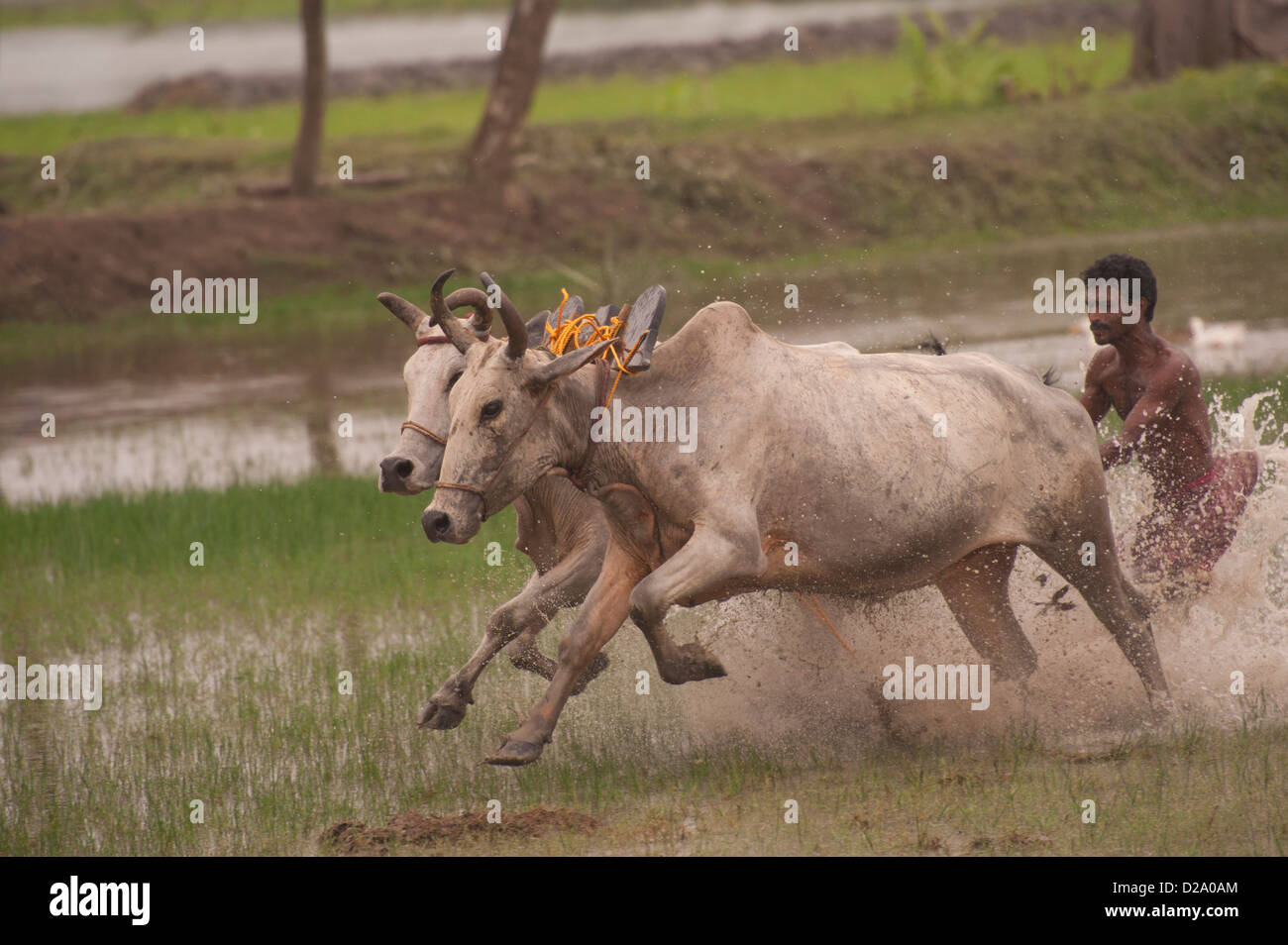 Eco doccia,velocizzando unghioni. Foto Stock
