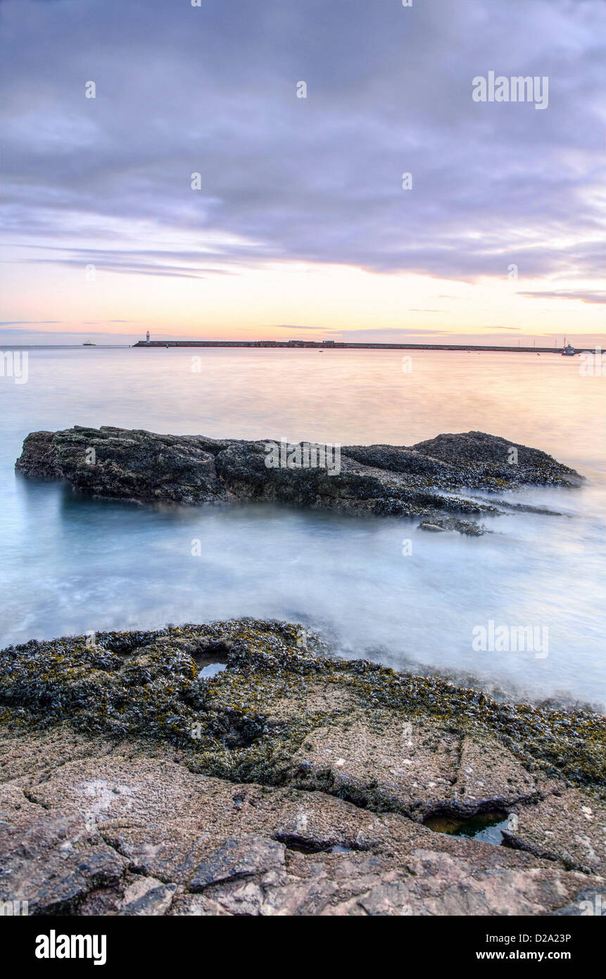 Alba sul porto di Brixham e Torbay nel Devon, Regno Unito Foto Stock