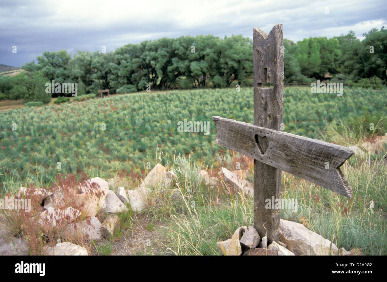Nuovo Messico, Santa Fe - Rancho De Las Golondrinas - Croce di legno in un campo Foto Stock