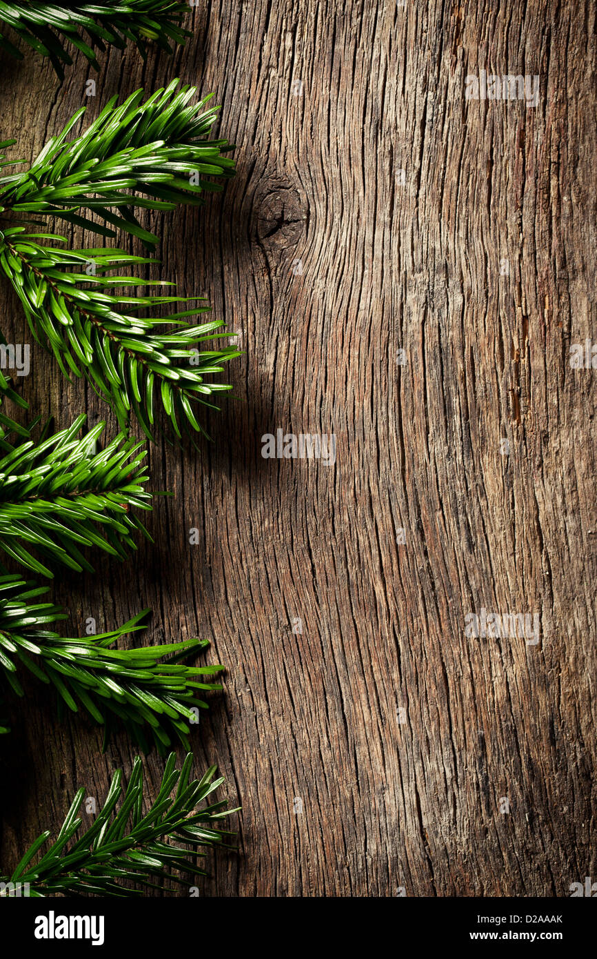 Il ramo di abete su sfondo di legno Foto Stock