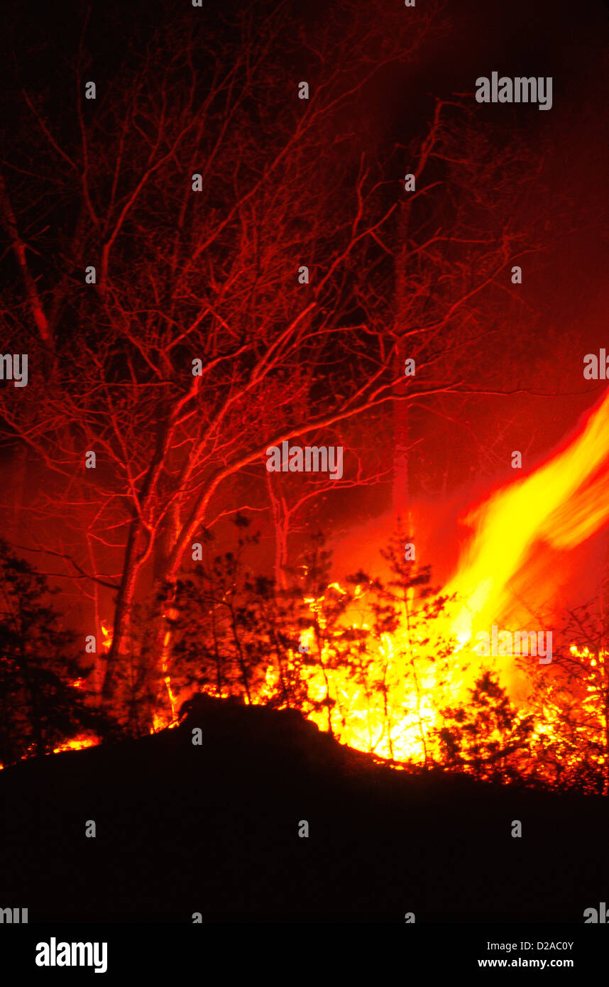 Virginia, Rockbridge County. Gli incendi boschivi. Foto Stock