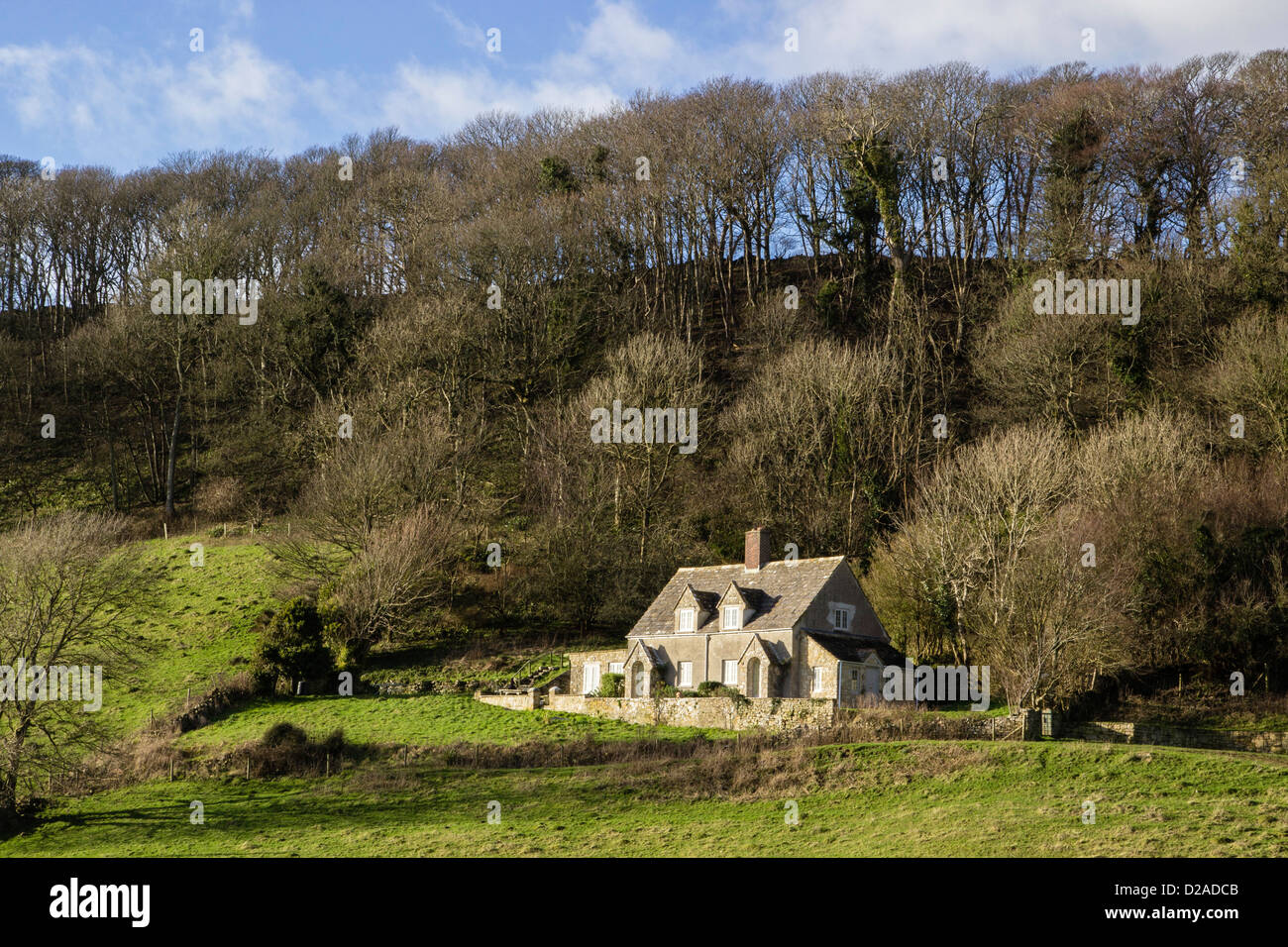 Cottage isolato, Isle of Purbeck, inverno, Dorset, Inghilterra, Regno Unito. Europa Foto Stock