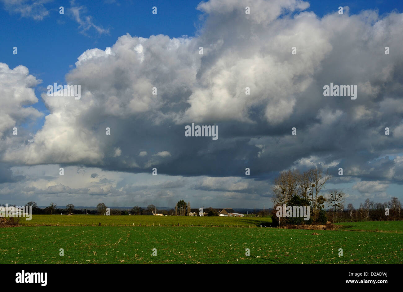 Terreni agricoli : siepi rimosso per allargare i campi, agricoltura intensiva (Nord Mayenne, Paese della Loira, Pays de la Loire,Francia,l'Europa). Foto Stock