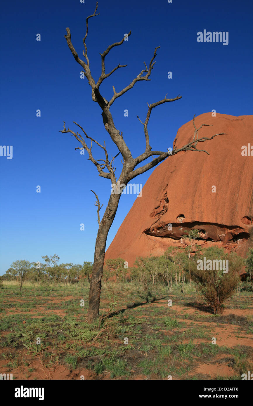 Uluru all'alba Foto Stock