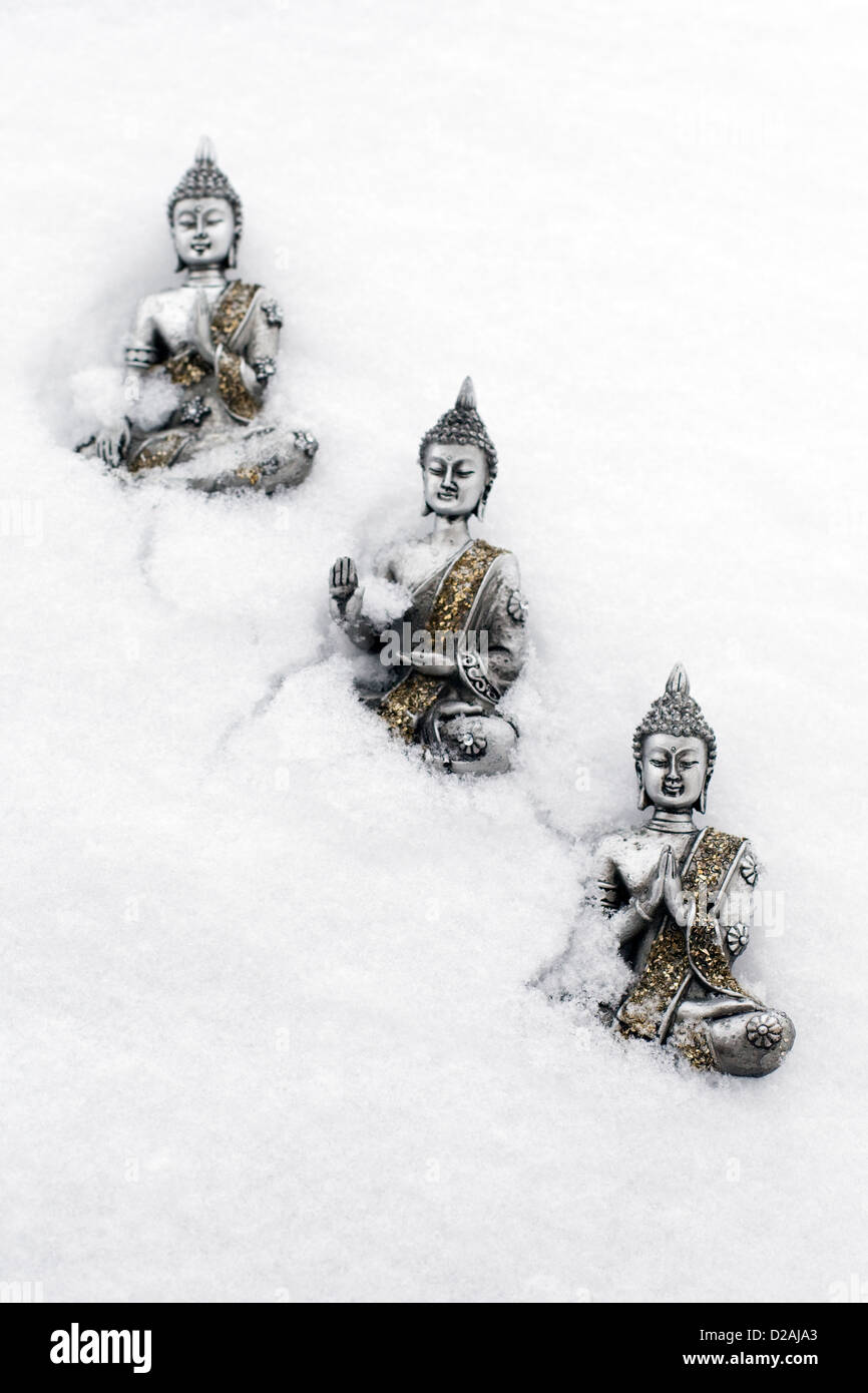Argento Thai Statue di Buddha nella neve Foto Stock
