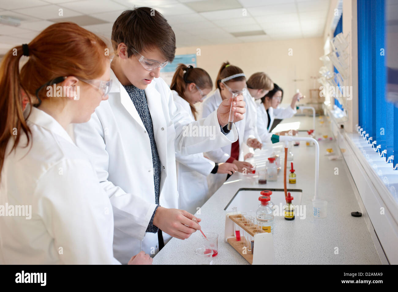 Gli studenti che lavorano nel laboratorio di chimica Foto Stock