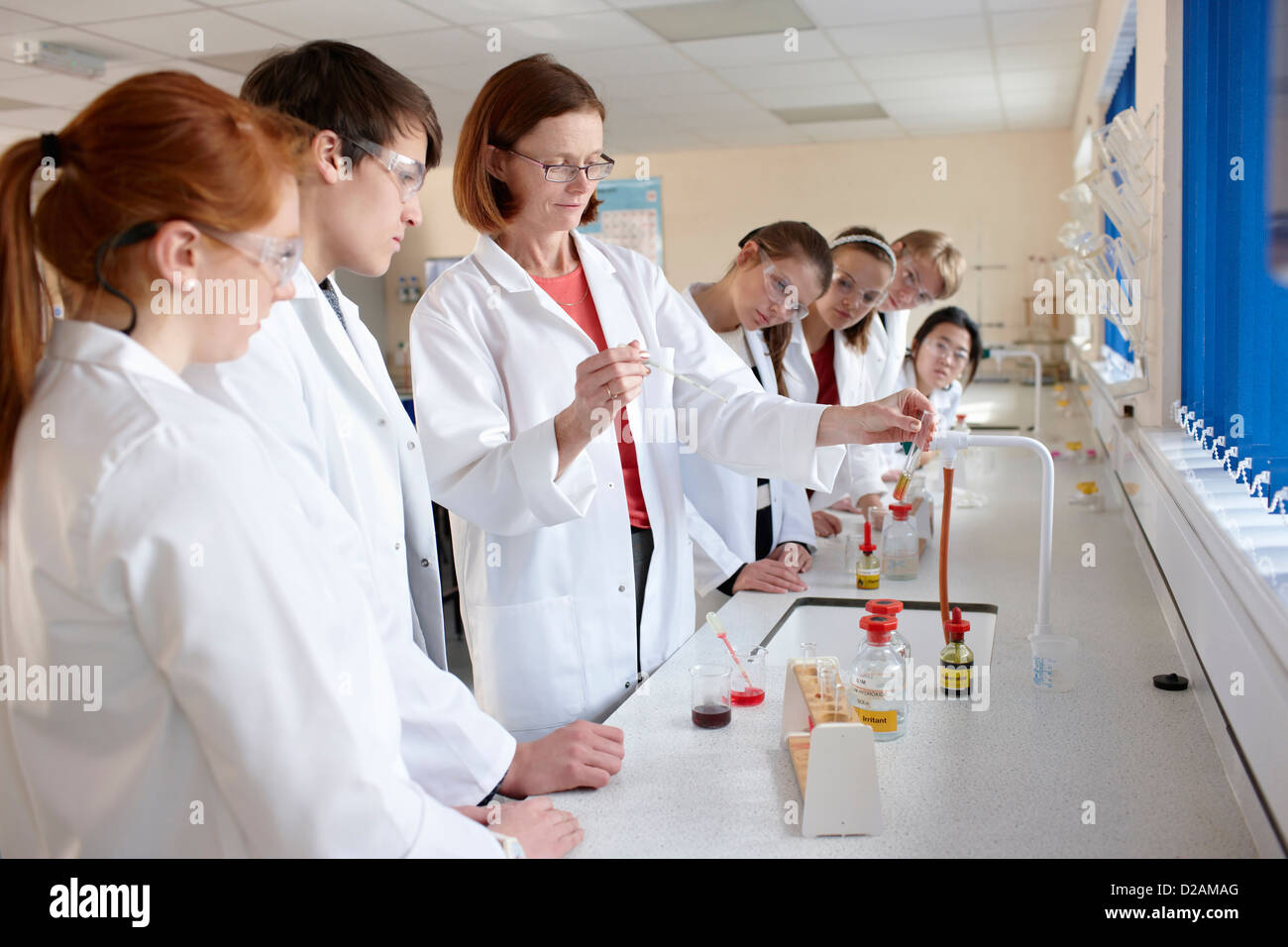 Gli studenti e insegnanti nel laboratorio di chimica Foto Stock