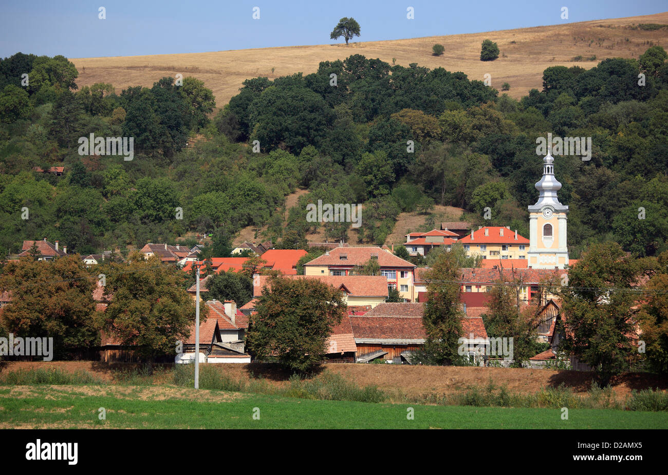 Rupea (tedesco ripetizioni; Ungherese: Kohalom; Latino Ripa) è una città della contea di Brasov in Transilvania, Romania. Foto Stock