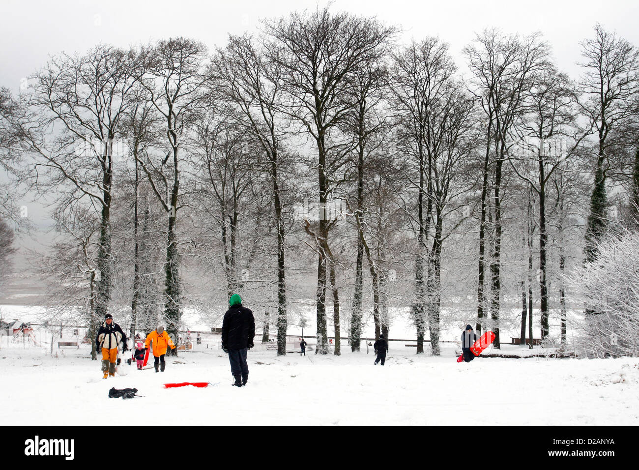 18-01-2013 - Ryde, Isle of Wight - Famiglie godere la forte nevicata a Appley Park, Ryde come essi lo slittino giù per la collina. Uno dei più pesanti nevicate in questi ultimi anni ha lasciato l'Isola di Wight sotto una coltre di neve di Oggi (Venerdì). Foto Stock