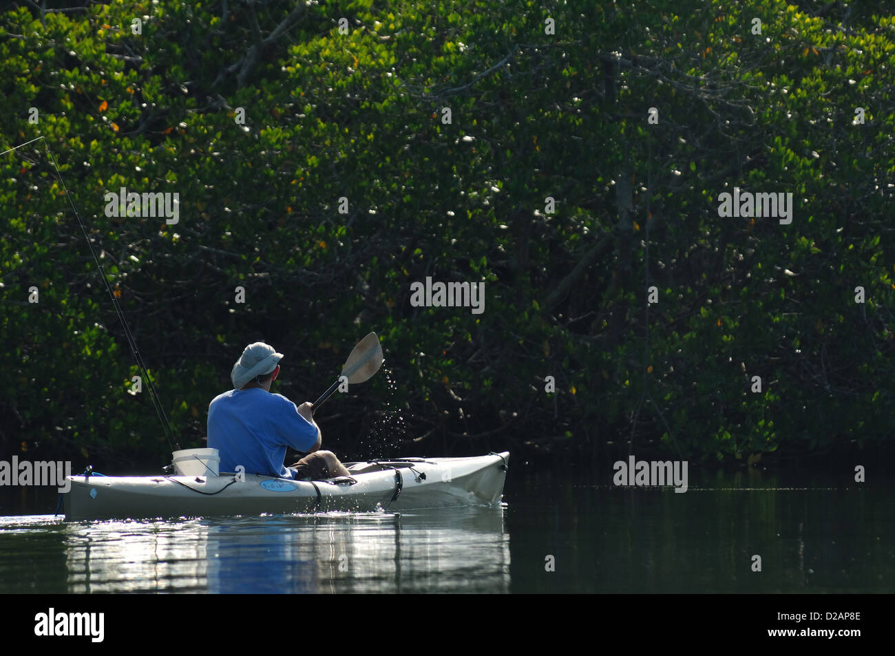 L'uomo paddling e la pesca da un kayak, Naples, Florida Foto Stock