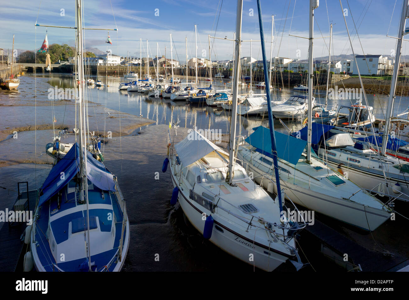 Barche e yacht sono tutti ormeggiati vicino nel periodo invernale in porto Portmadog aspettando la primavera stagione di vela. Foto Stock