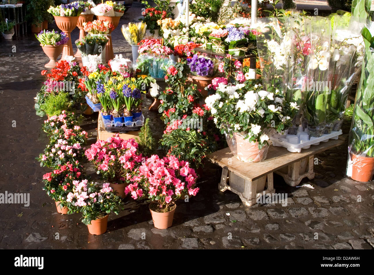 Fiore di strada stand Foto Stock