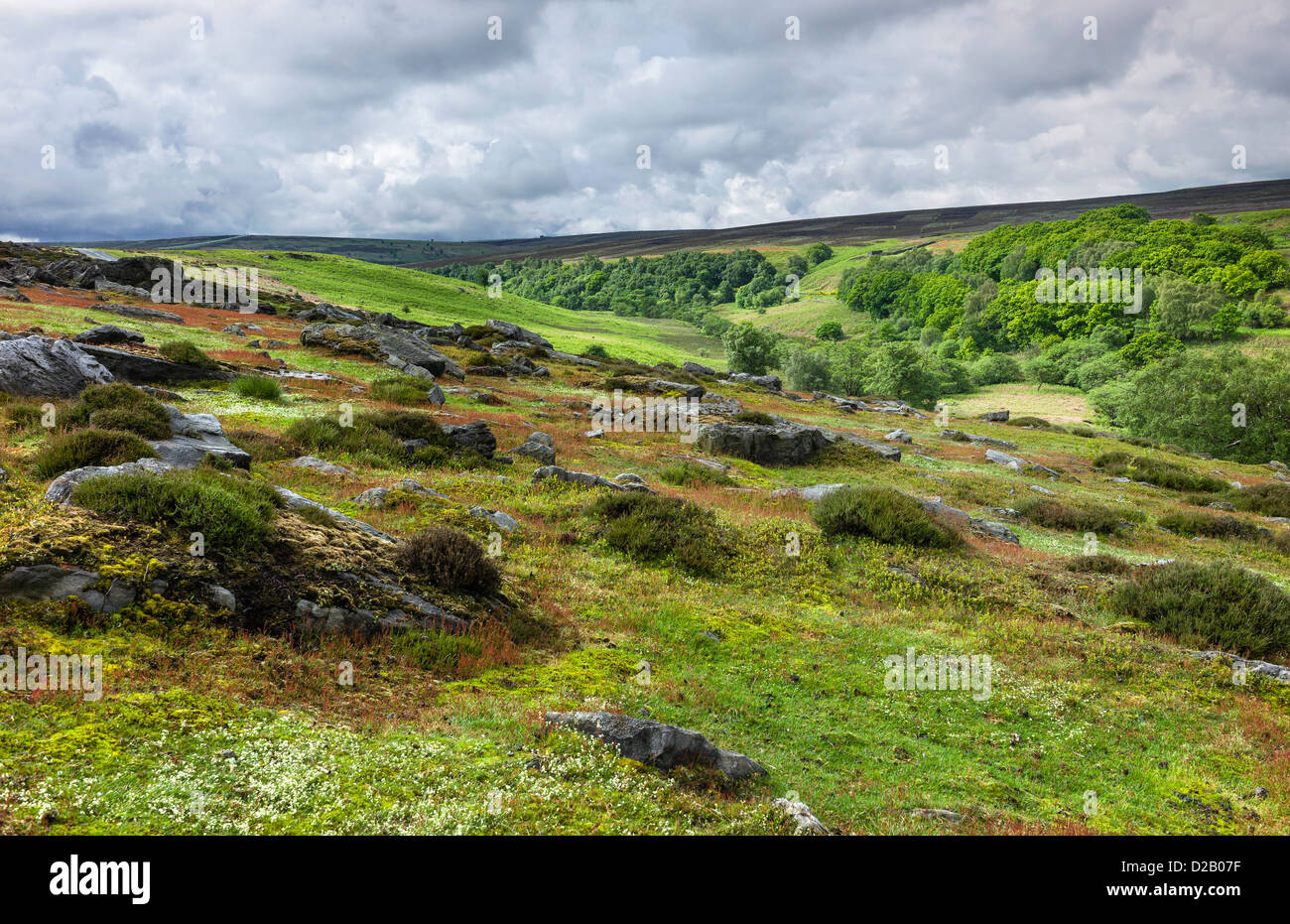 North York Moors in primavera vicino a Goathland, North Yorkshire, Regno Unito. Le rocce data al Giurassico periodo geologico. Foto Stock