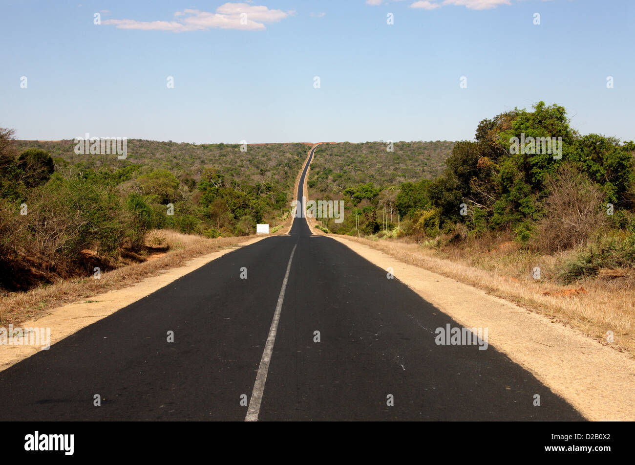 Zombitse Vohibasia Il Parco Nazionale. La strada tra Ranohira e Toliara, Madagascar, Africa. La strada principale nel Sud del Madagascar. Foto Stock