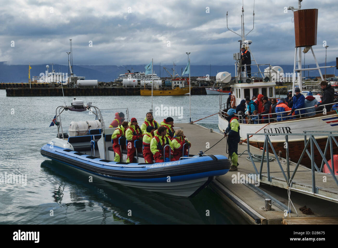 Whale watching in barca nelle Husavik, Islanda Foto Stock
