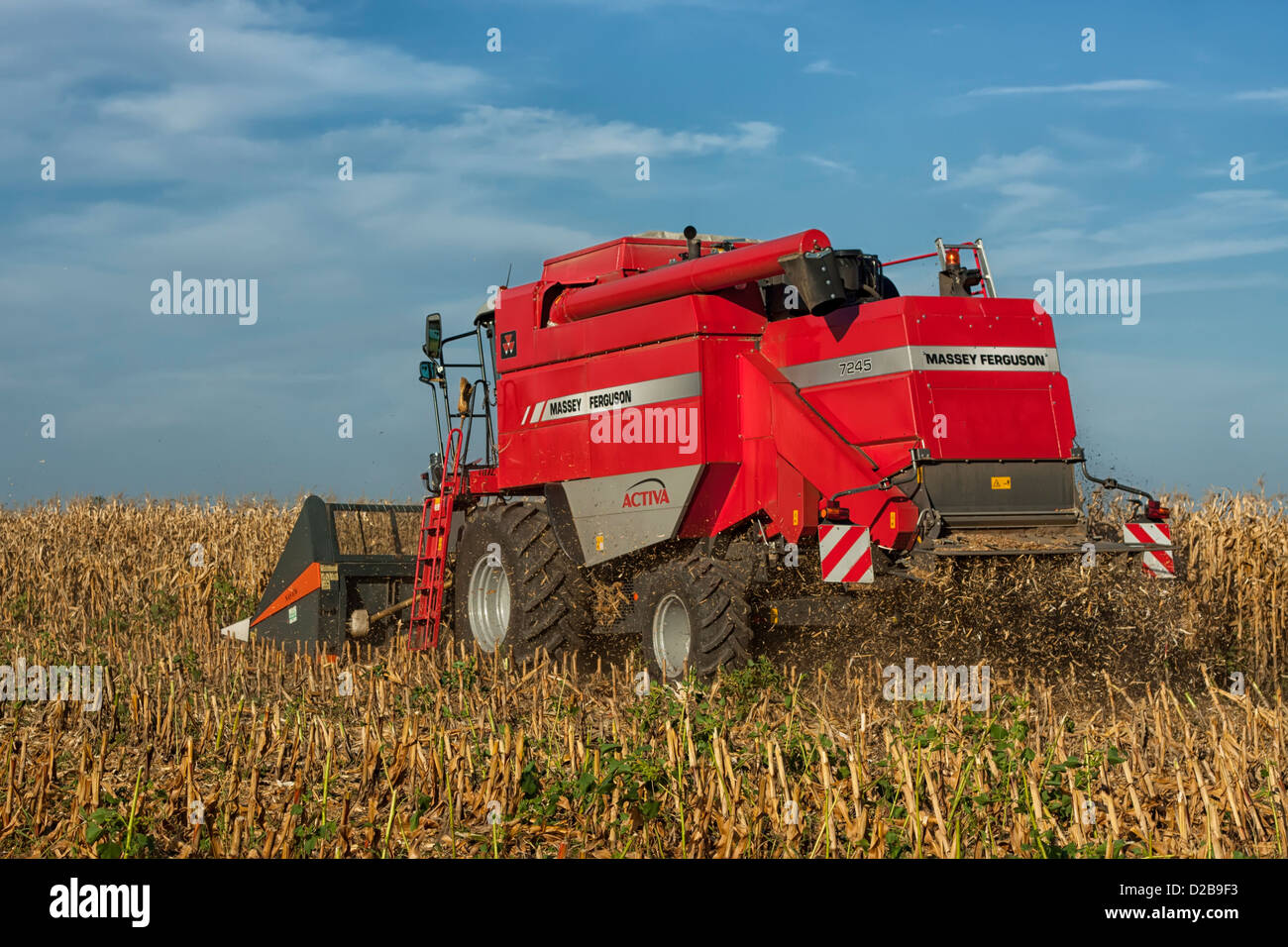 Mietitrice combinato il raccolto di un raccolto di mais in un ambiente rurale Foto Stock