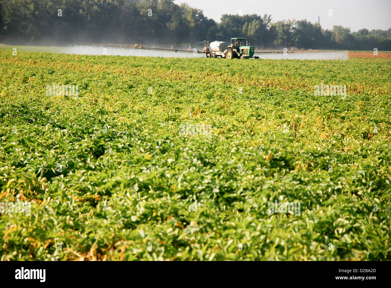 Spruzzi di sostanze chimiche sulle colture Foto Stock