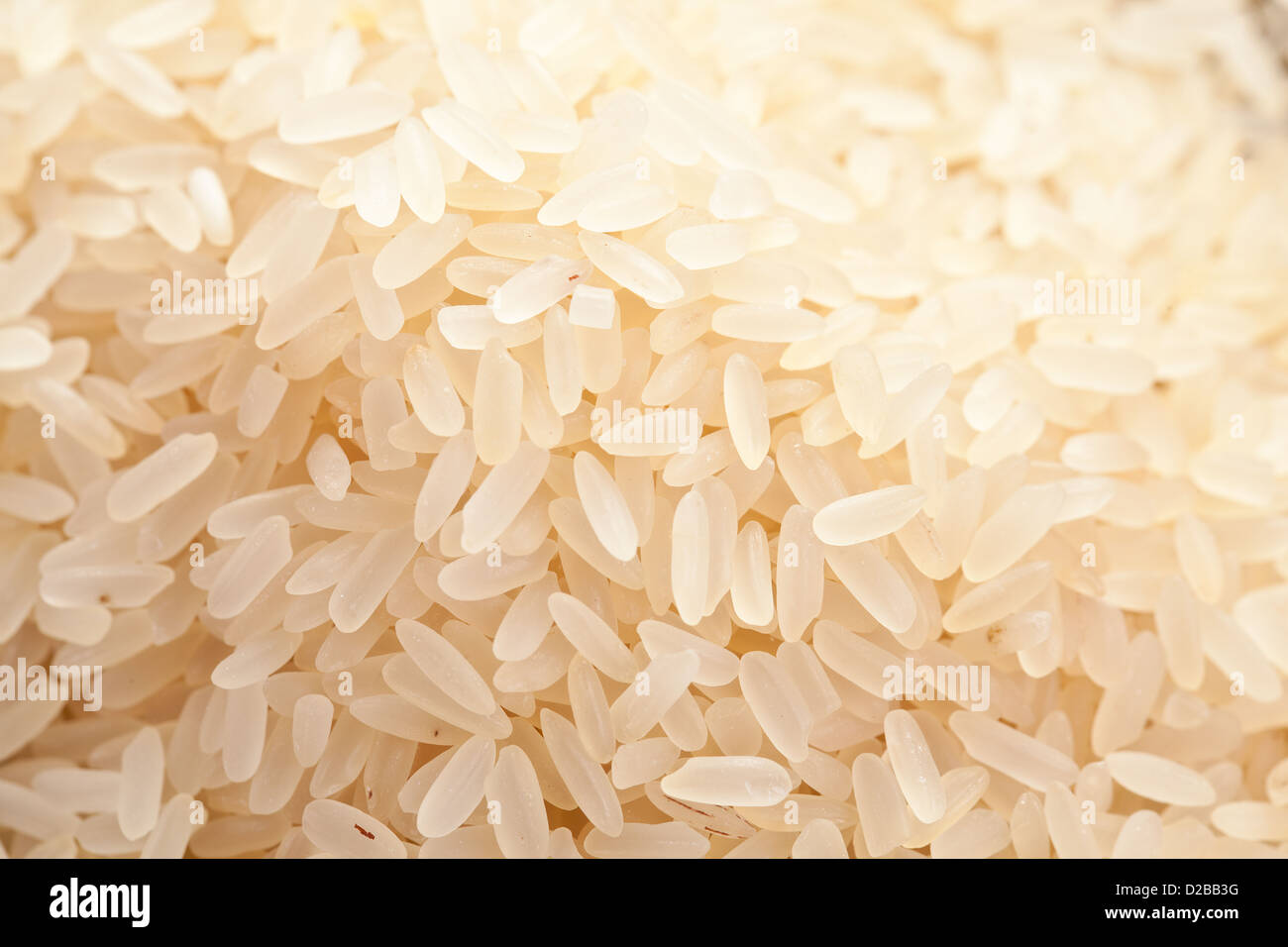 Il riso grezzo. Una foto vicina. Foto Stock