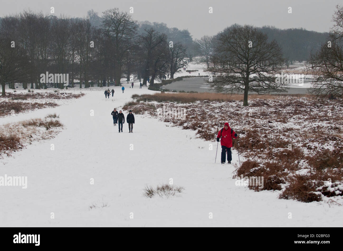 Londra, UK, sabato 19 gennaio 2013. Persone godersi passeggiate in Richmond Park, Londra. 2013 viene disattivato per un avviamento a freddo come gelo colpisce il Regno Unito. Nel corso del fine settimana del XIX Gennaio oltre dieci centimetri di neve sono caduti in alcune aree del Regno Unito con più attesi per l'inizio della settimana seguente. Foto Stock