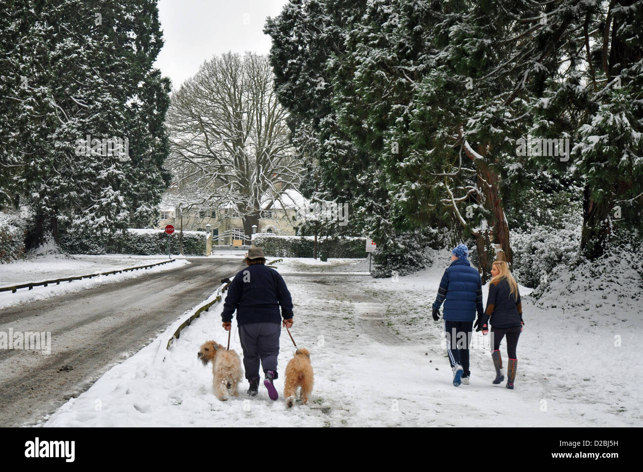 A spasso dopo la recente caduta di neve in Ascot Berkshire Foto Stock