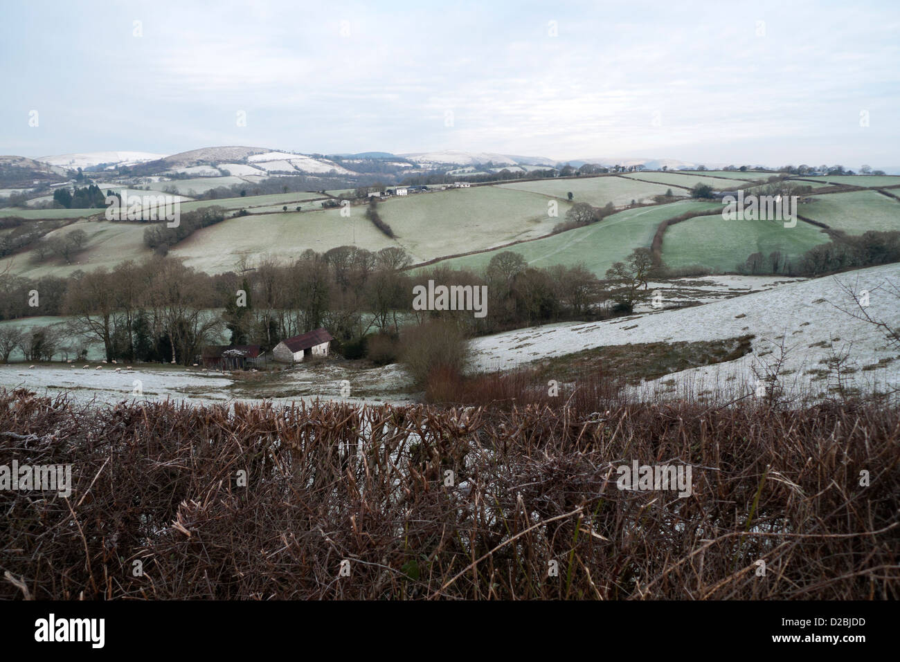 Un inverno paesaggio farm su un gelido inverno mattina Carmarthenshire West Wales, Regno Unito Foto Stock