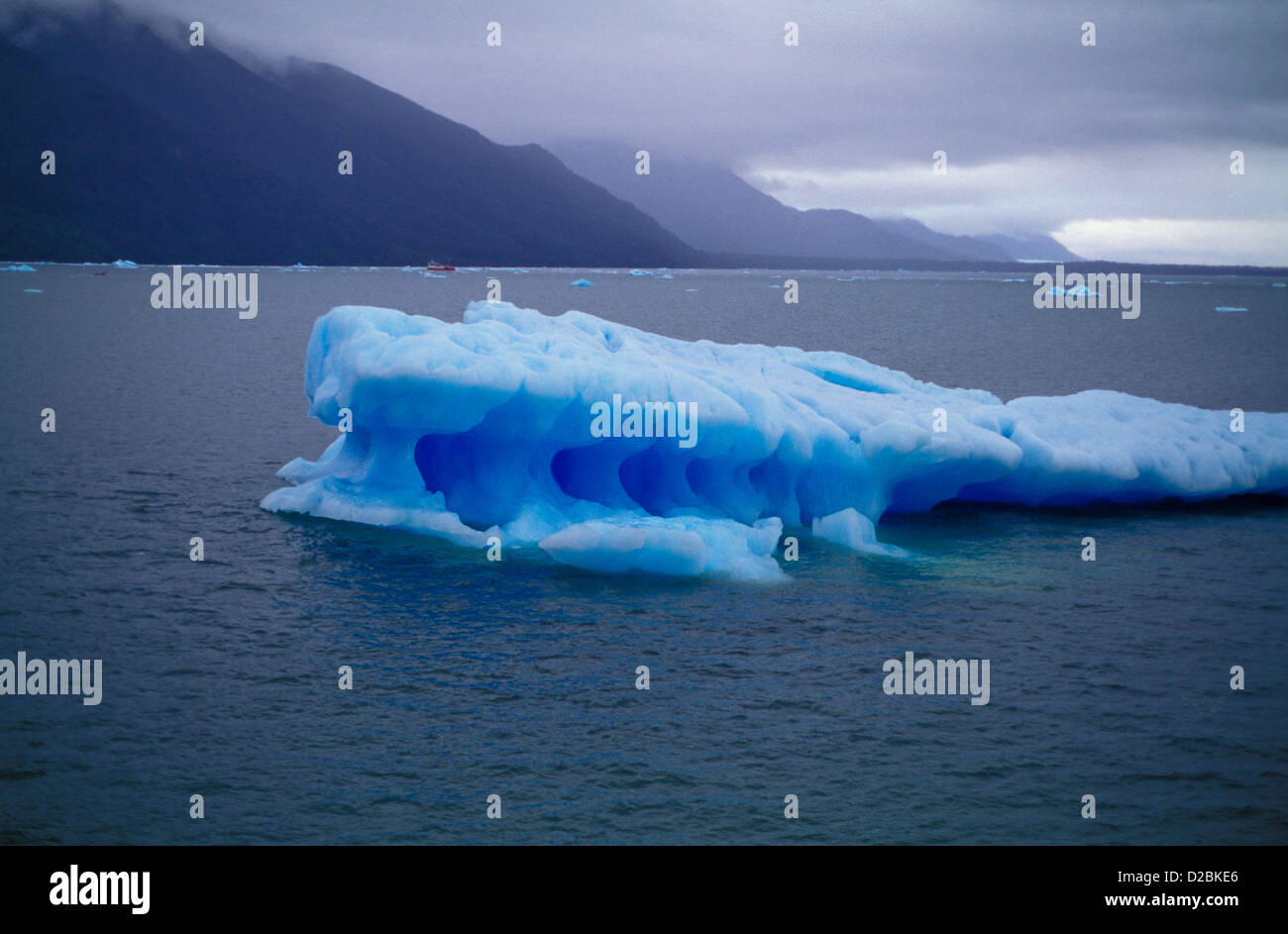 Il Cile, Laguna San Rafael. Colorate in blu Iceberg Foto Stock