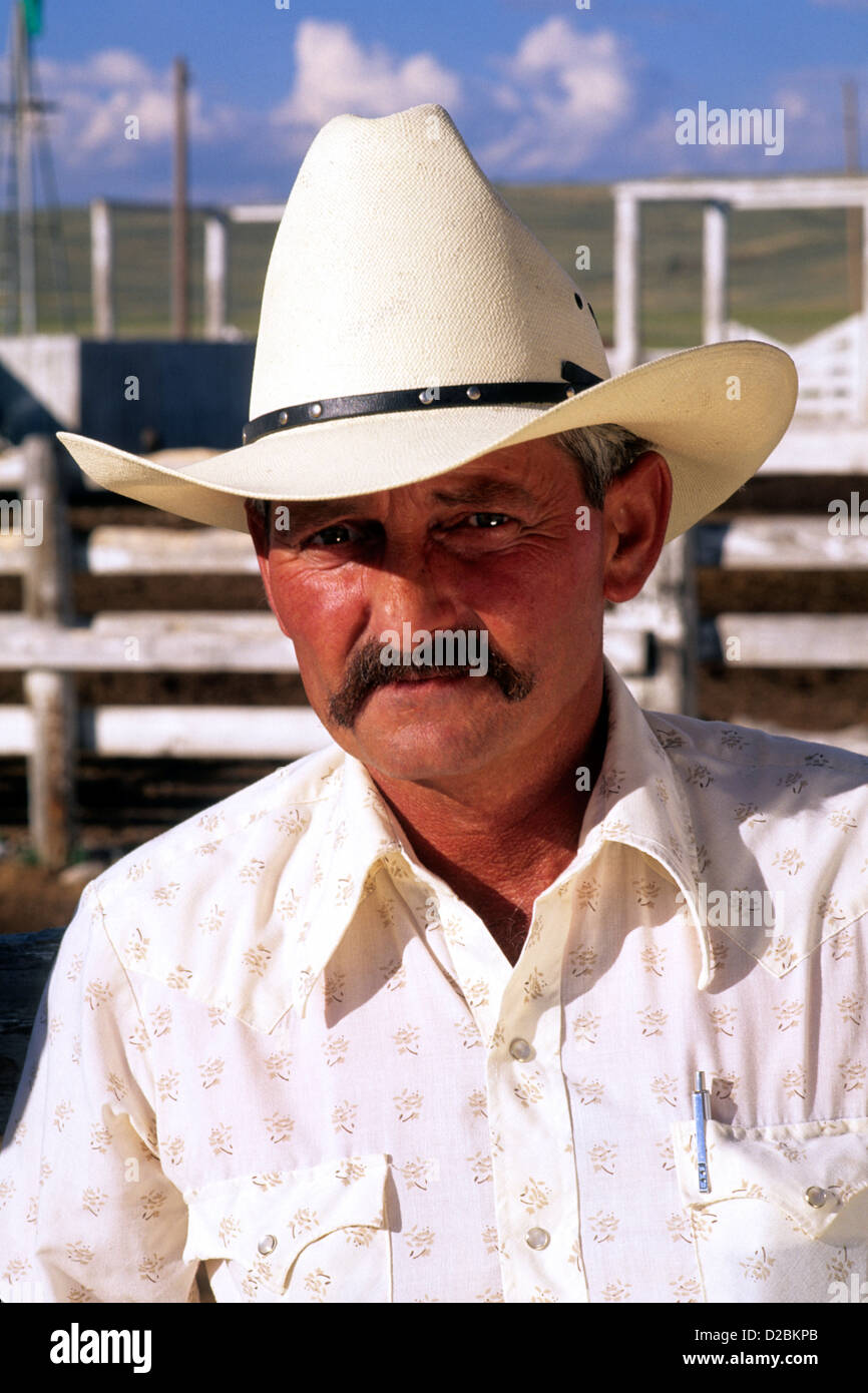 Ritratto di un cowboy Foto Stock