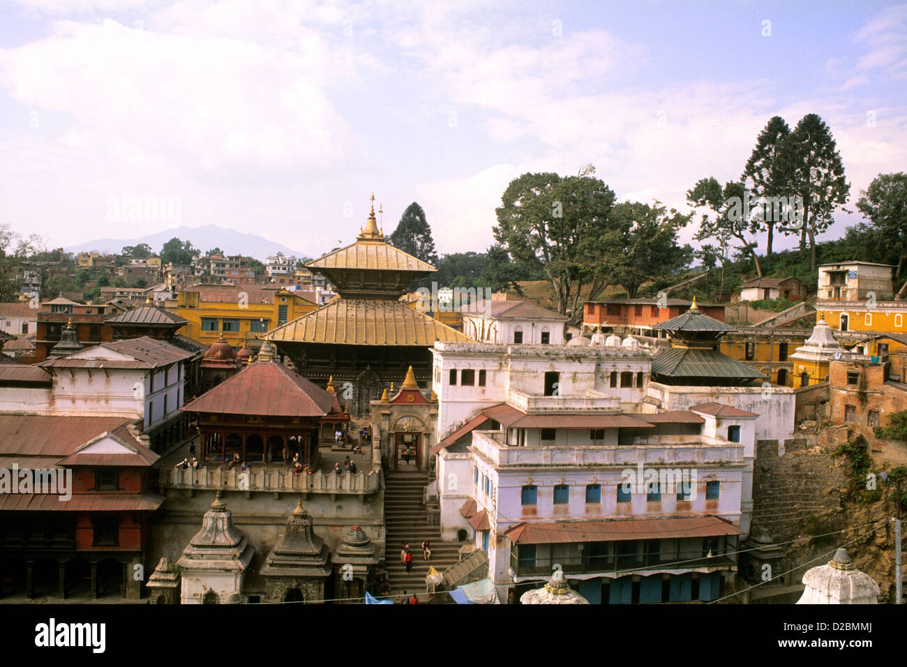 Il Nepal, Katmandu. Tempio di Pashupatinath. Foto Stock