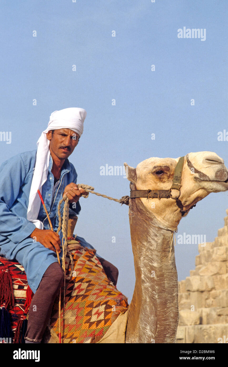 Egitto, Piramidi. Il cammello e il cammello Rider Foto Stock