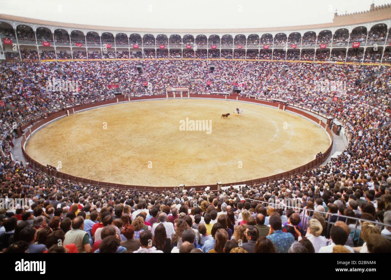 Bull Ring di combattimento a Madrid, Spagna Foto Stock