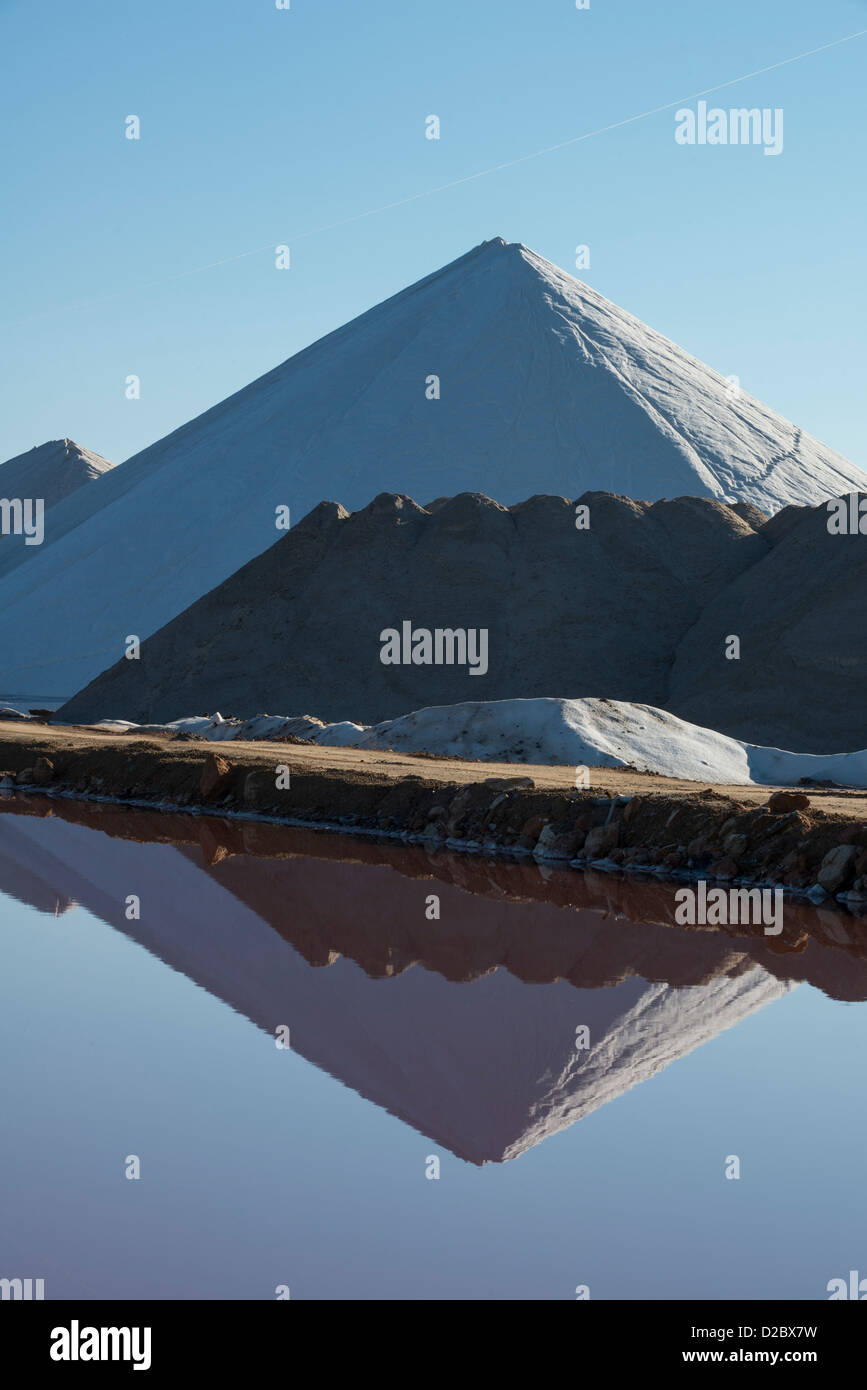 Acqua di mare impianto di sale Foto Stock