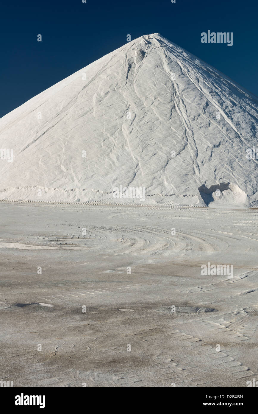 Acqua di mare impianto di sale Foto Stock