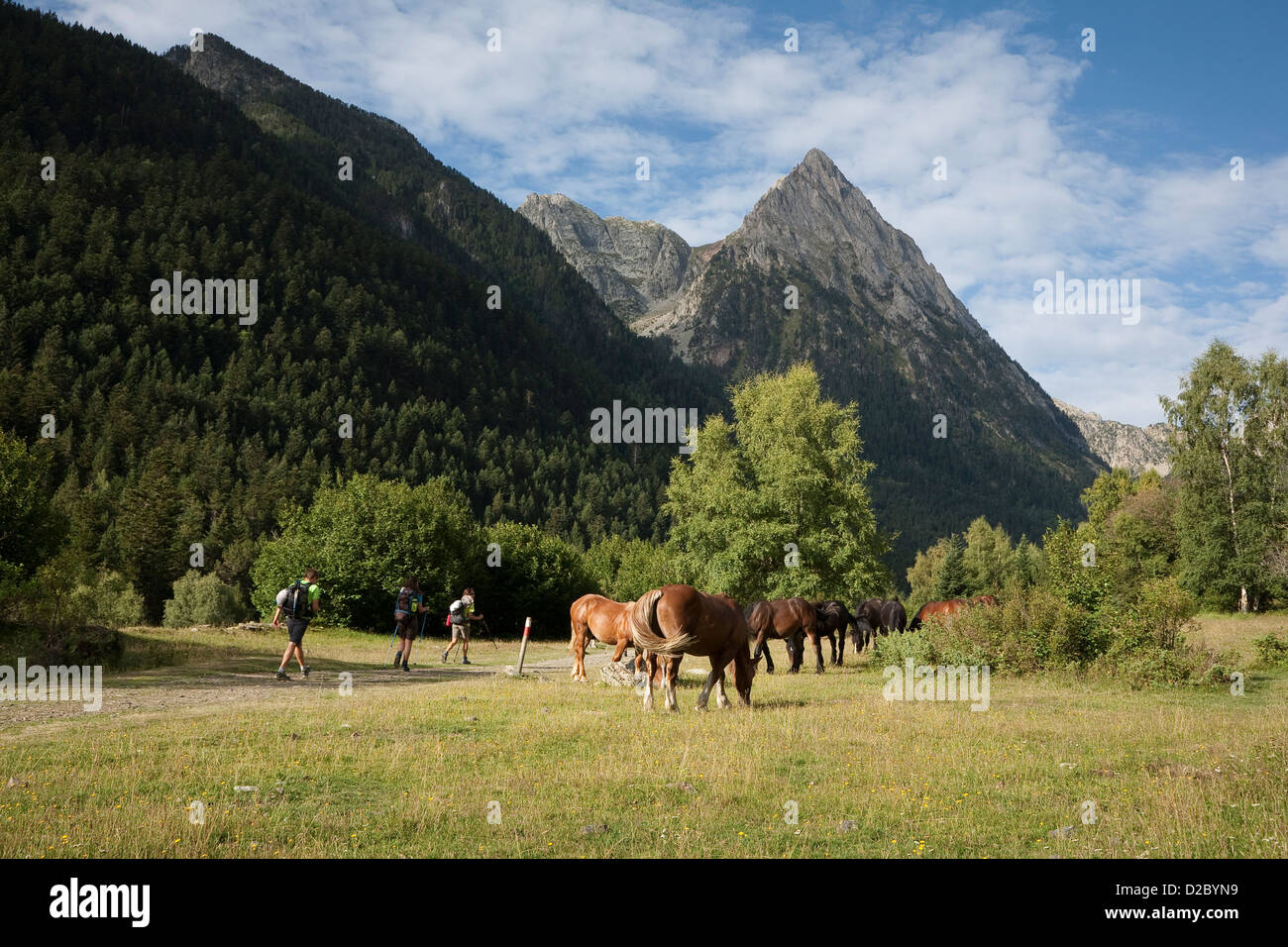 Cavalli selvaggi e backpakers lungo il GR 11 vicino al villaggio di Espot - Aigüestortes i Estany de Sant Maurici National Park Foto Stock