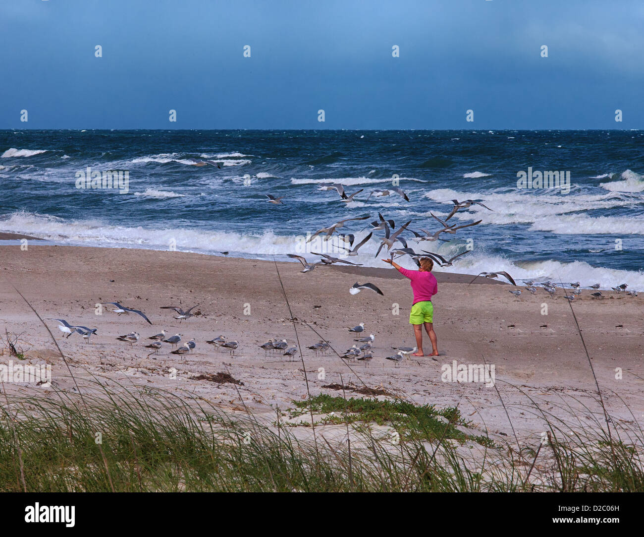 Un irriconoscibile donna alimentazione di gabbiani su una spiaggia della Florida. Foto Stock