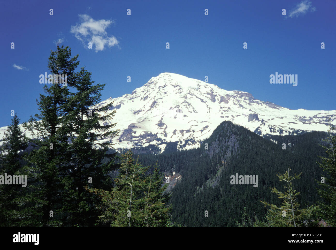 Washington. Il Parco Nazionale del Monte Rainier come visto da sud Foto Stock