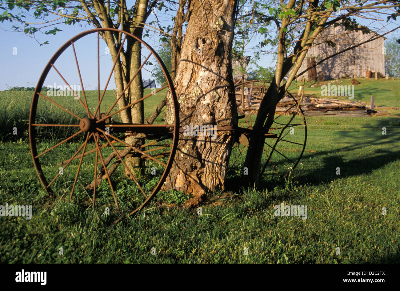 Tennessee. Sullivan County. Albero cresciuto intorno attrezzature agricole. Foto Stock