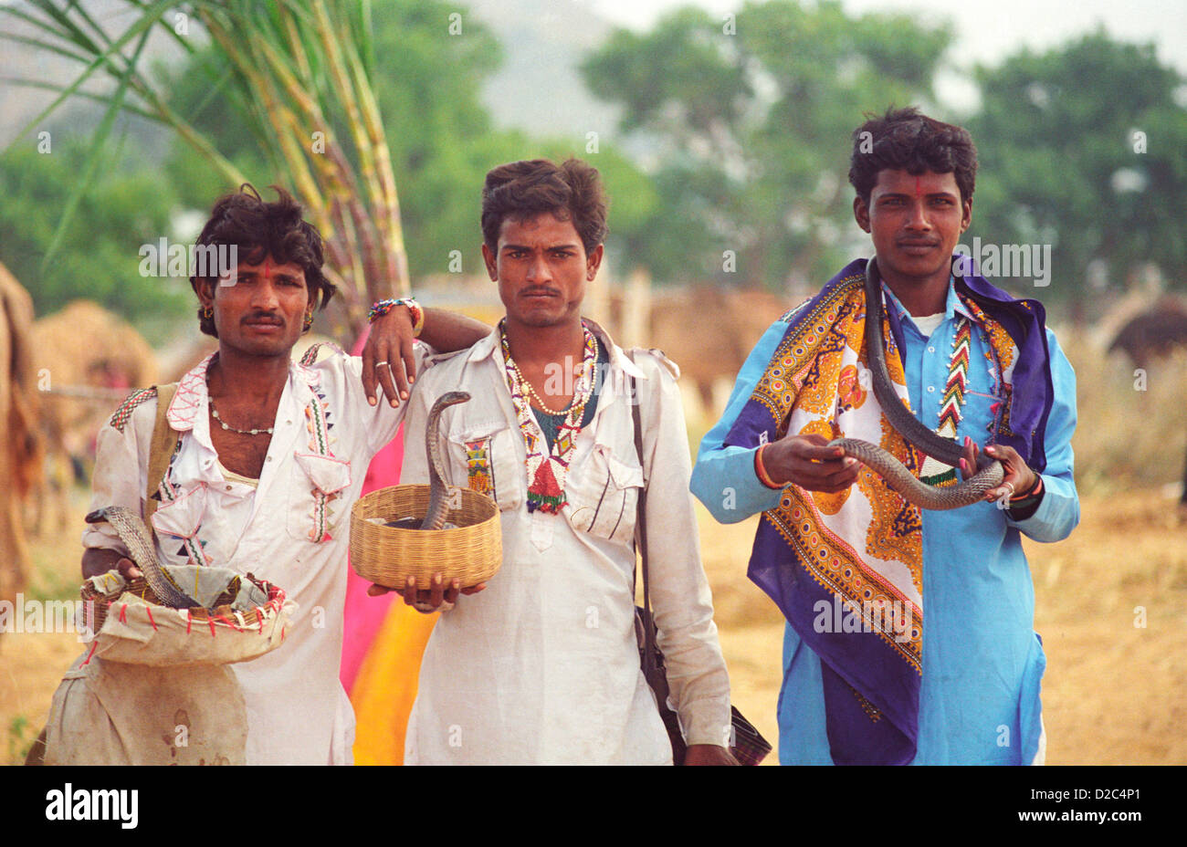 Gruppo di incantatori di serpenti, Pushkar, Rajasthan, India Foto Stock