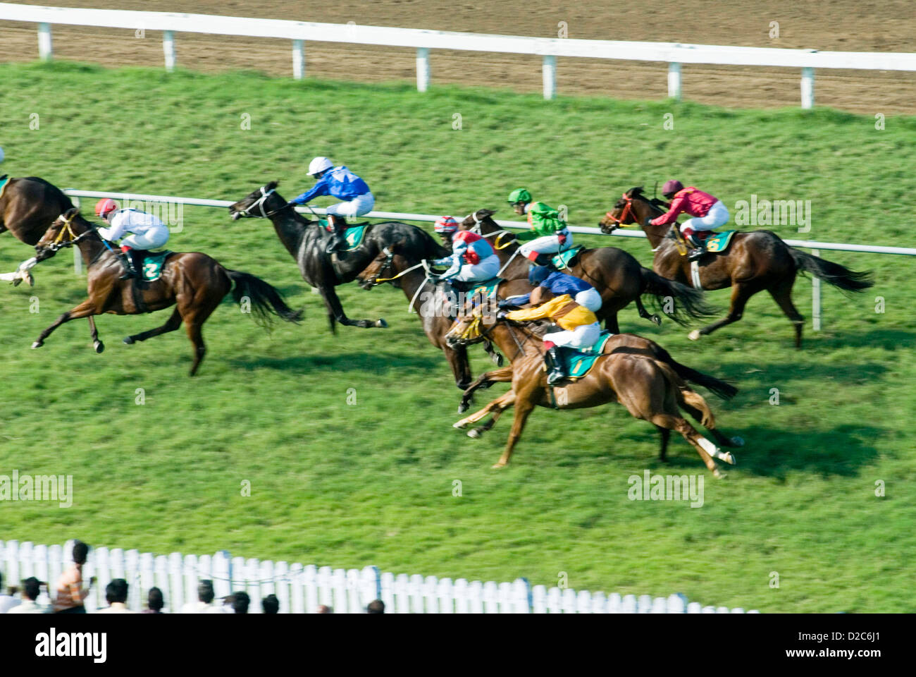 Poonawalla corsa di cavalli al Mahalaxmi Race Course, Mumbai Bombay, Maharashtra, India Foto Stock