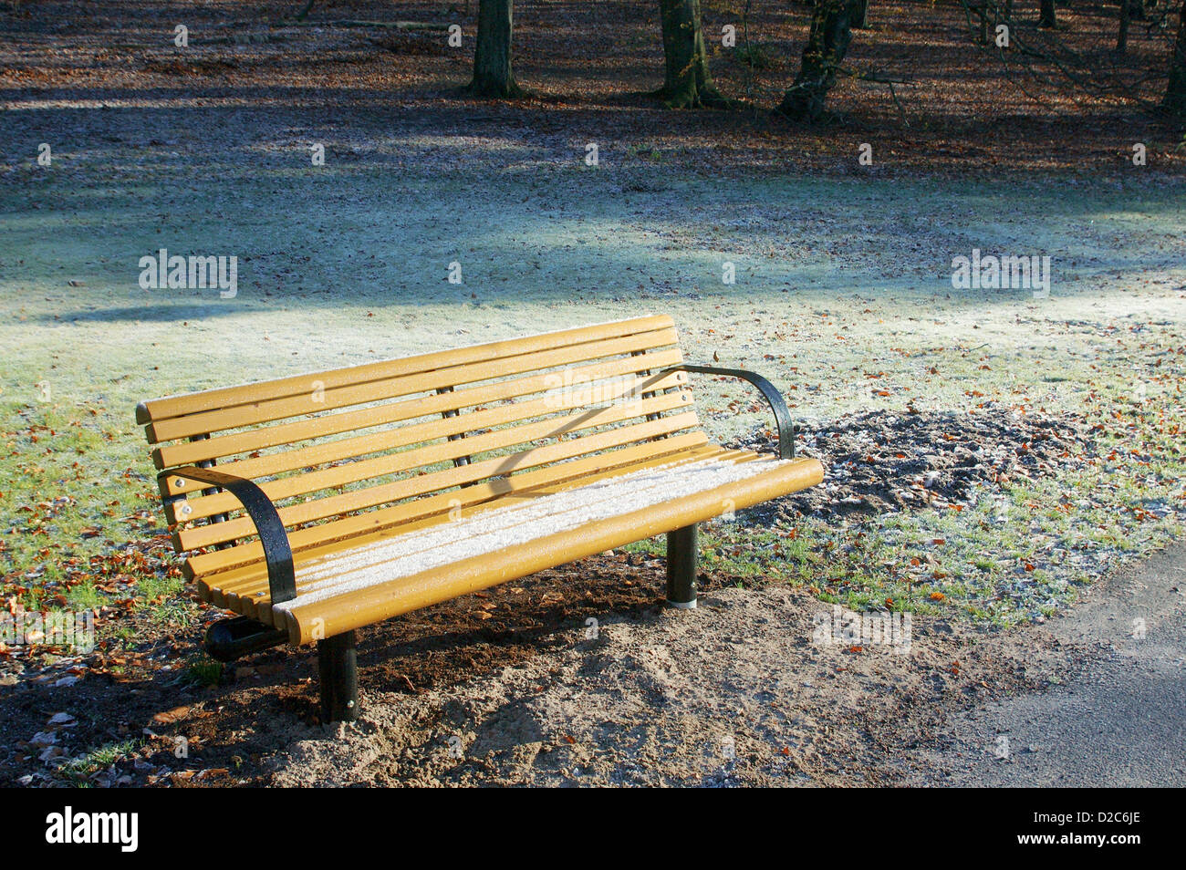 Panca in legno nel parco con gelo invernale sull'erba Foto Stock