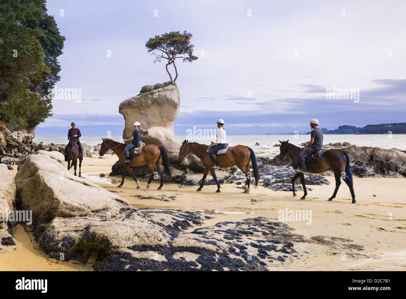 4 cavalieri a cavallo su una spiaggia a Parco Nazionale Abel Tasman Foto Stock