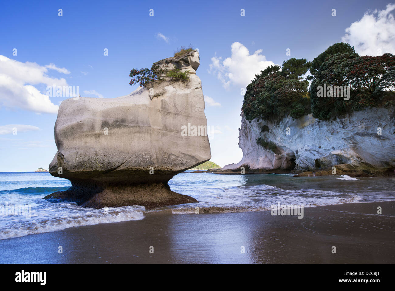 Mares Leg Cove sulla Penisola di Coromandel Foto Stock